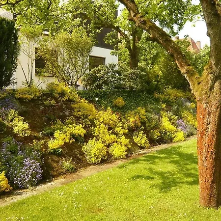 Neumann, Appartement Celle