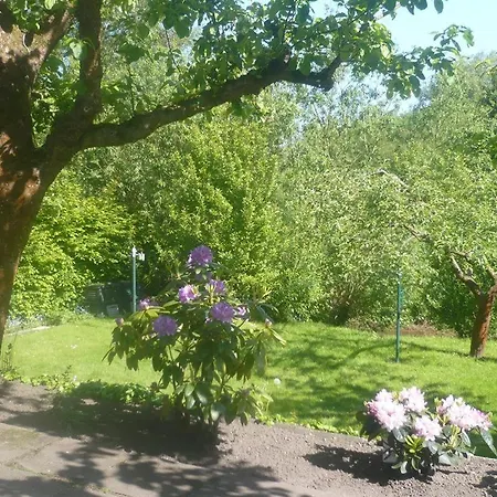 Appartement Neumann, Celle